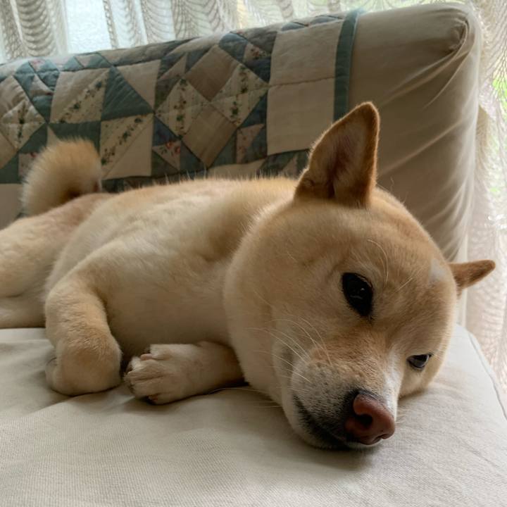 263e992c 4e2f 4535 ad0f 5a66012bcc04 1655768296913