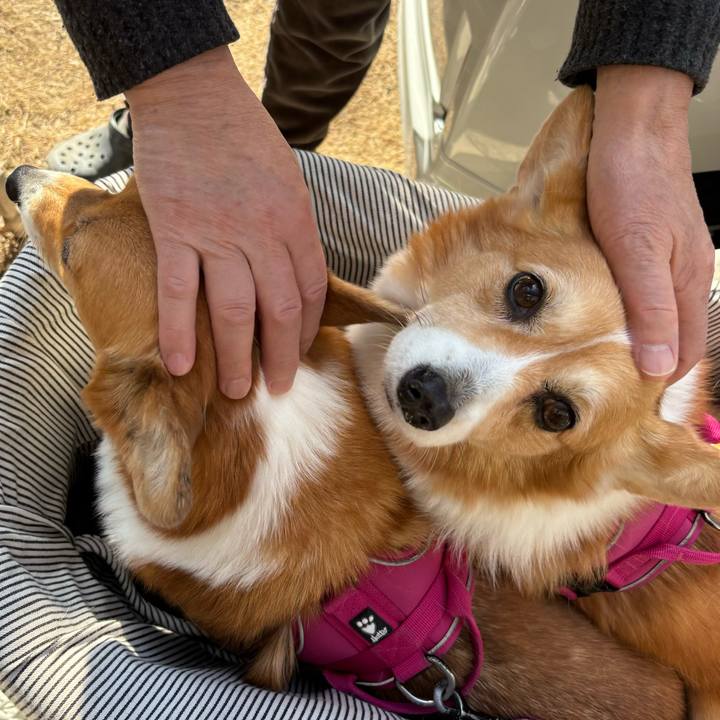 263ed31d b11b 40b6 8952 2f367f0add99 1736321401474