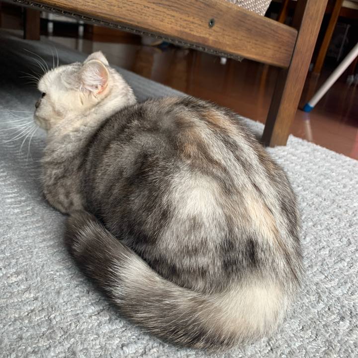 263ee2ac 2c50 45a3 8a2d 16aa7799f39b 1709337353011