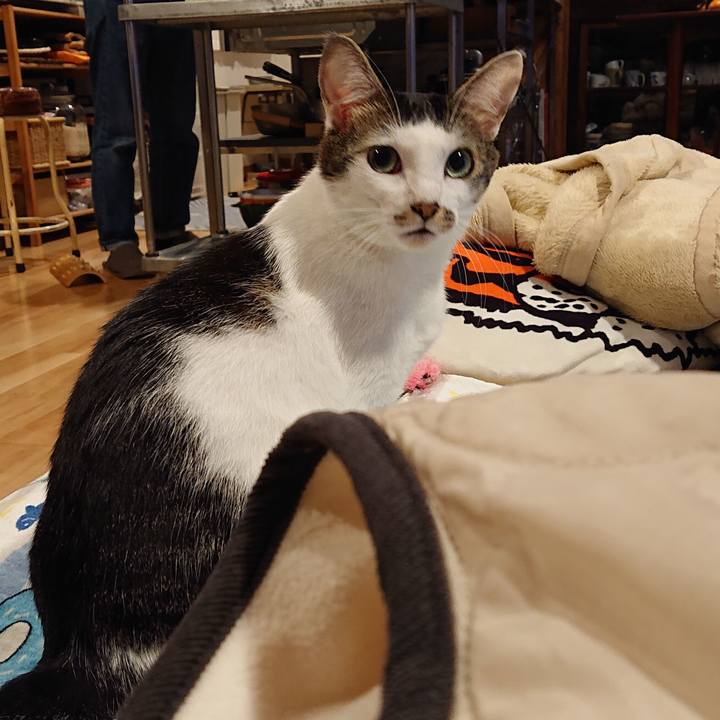 263ee7db d3cf 4559 879c 1916b36c5dcd 1708139835339