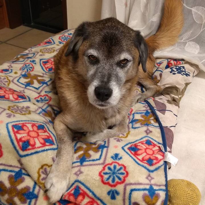 263f30e4 84a4 48d9 b2de 7e39af9fa852 1574412144595