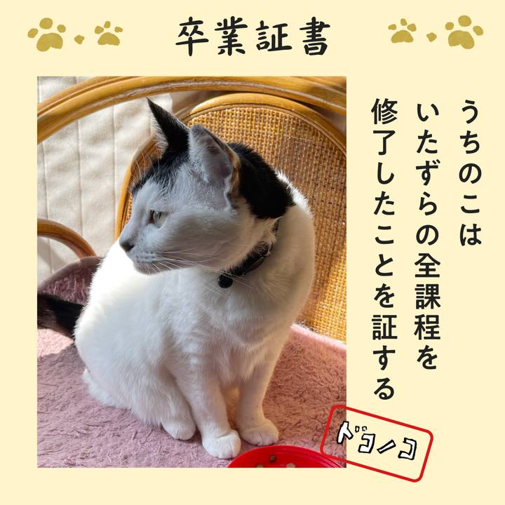 263f461c 55ba 48ed 8476 82dc69de2c72 1772243161045