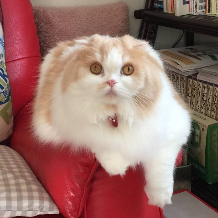 263f73ee 0ab2 4652 b444 ff9ce51d278e 1543039501426