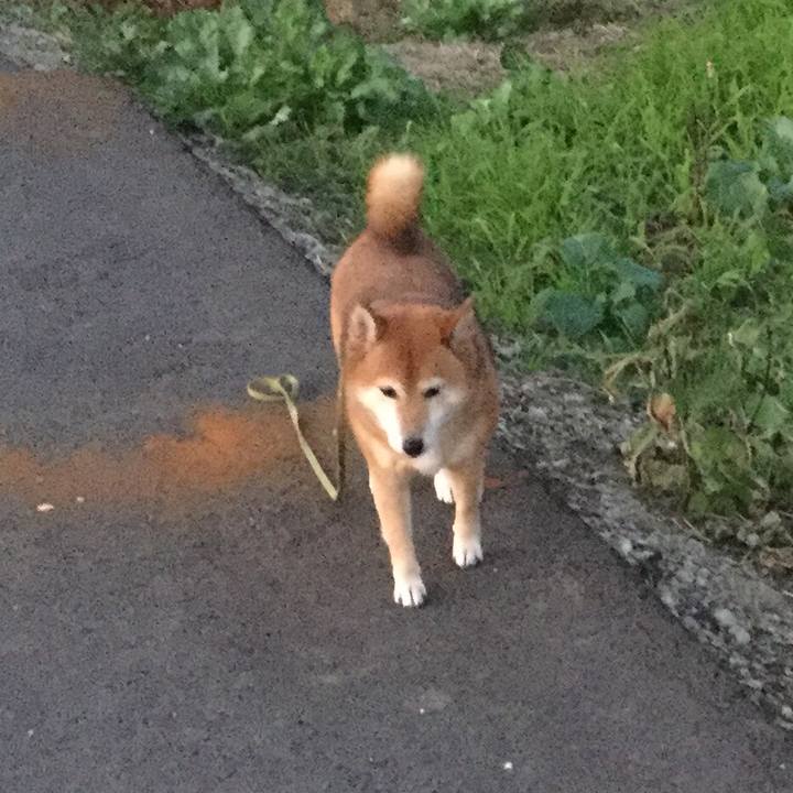 263f7479 3e66 42f0 9aca 0b0db163e290 1576312321653