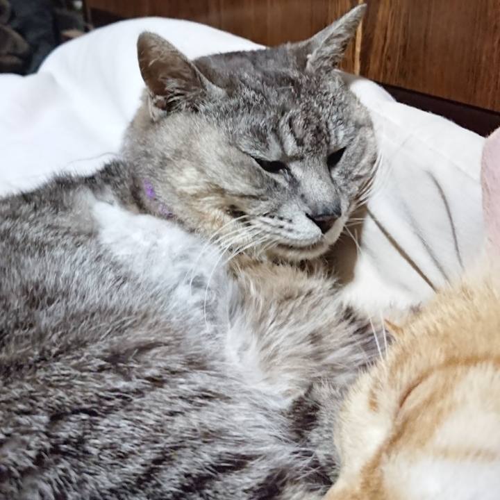 263f97be 49cd 4870 ac22 be06dc6a3750 1591277623888