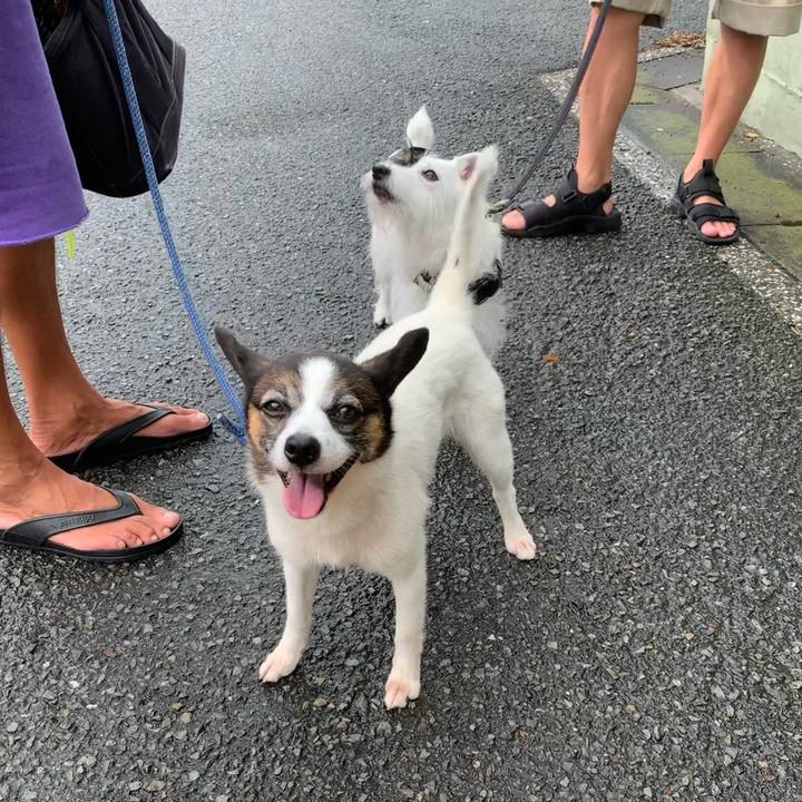 263f9a09 7072 4ed8 bbec 067db788ff33 1661987819406