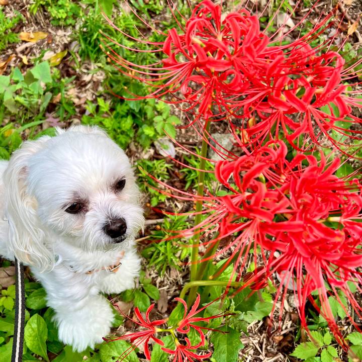 263fa677 ac72 4418 99f9 8e66452e04c2 1663812213546