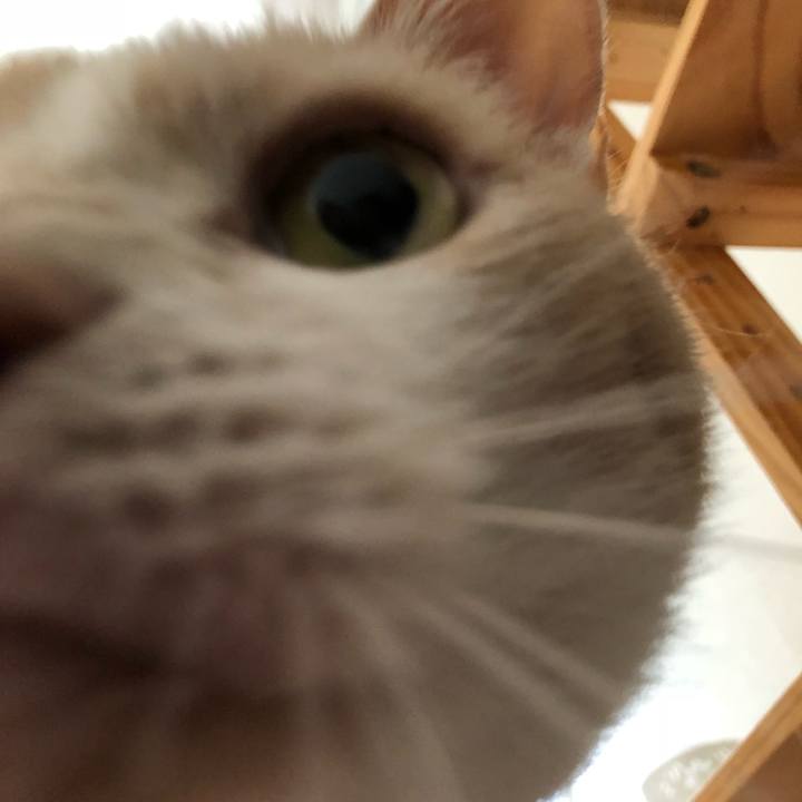 263fde0a 918e 4be9 87da 1ecc9a2eb217 1527983563751