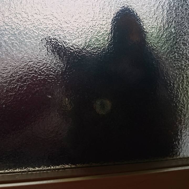 263ff6be cccc 464b 8075 e01f395e8ae7 1534306268493