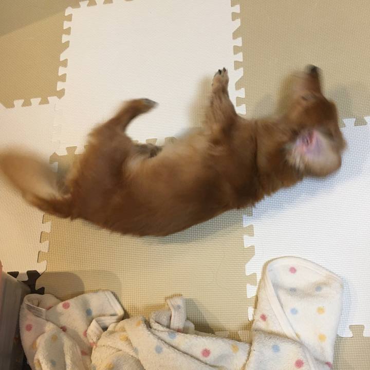 2640176d f0bf 46fc ae2c 1998b00f1159 1621603853319