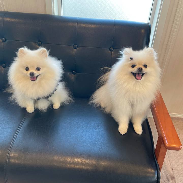 264057c6 63e2 4aae af2d 01b9c621669c 1634968149178