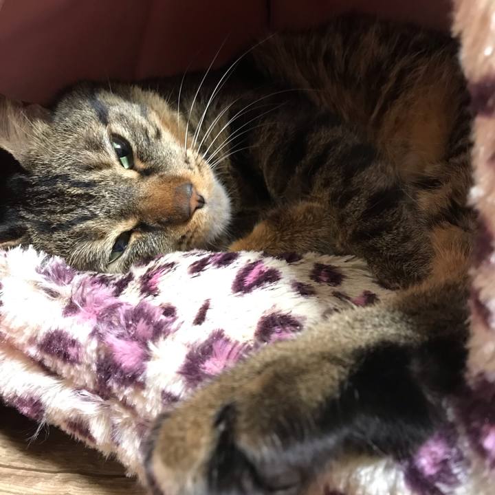 26407a1b f4a6 4b12 a04e 698e1fcf9cf8 1613914334147