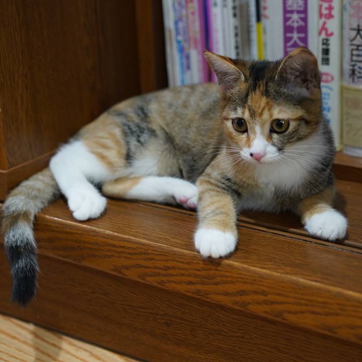 26408b3d 6d76 41e4 a942 57ec590204ce 1571406601754