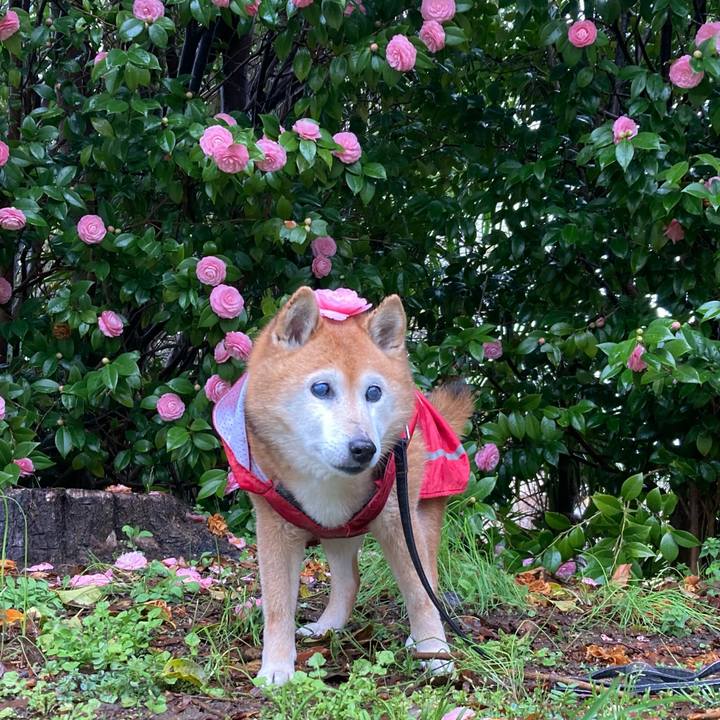 264094d7 5df9 4792 8ede b1c18a3e9267 1743669219565