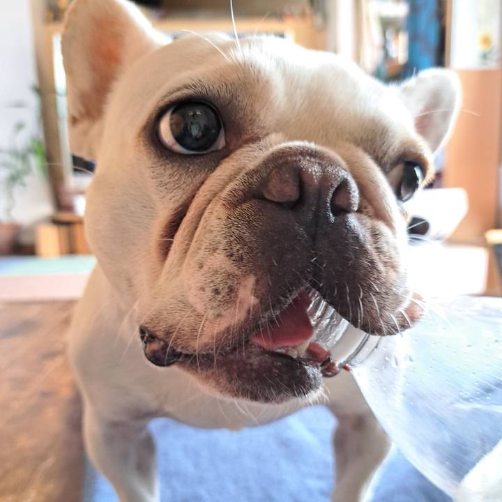 26409548 50e1 4dbe 96fb ec7d6ab084e0 1690776461187