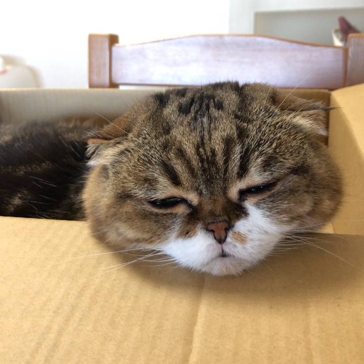 26414992 5948 49bf 9815 e2f02bd3da00 1540773599959