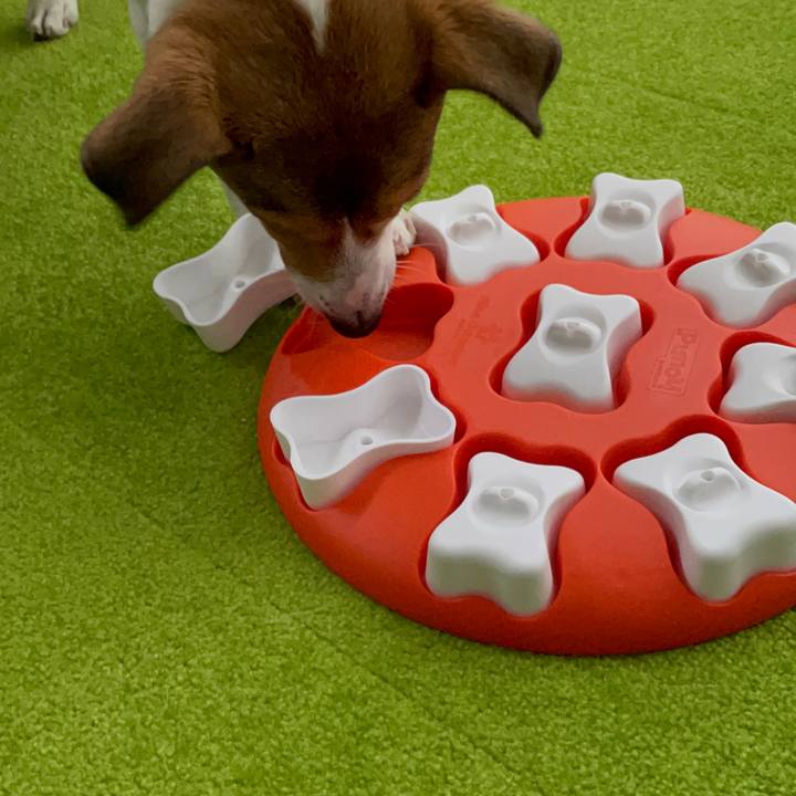 26416ae5 5d27 45ae aae4 3aea26ea5c6d 1684192093586