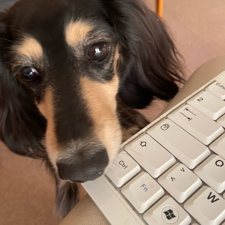 26417f79 75f3 455f 93b1 03d273d00f76 1736734733061