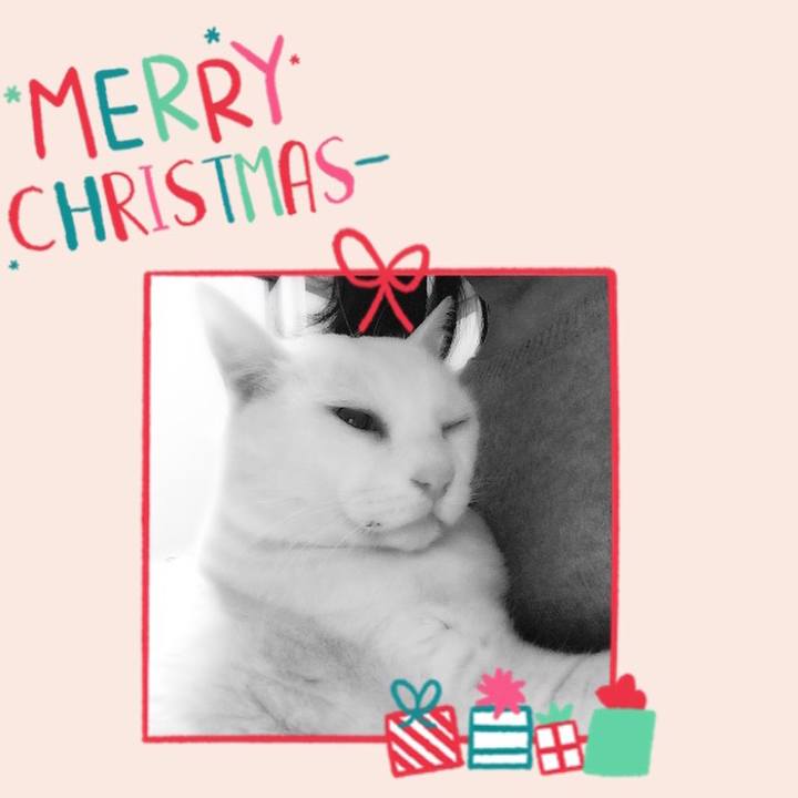 26419c34 5a5d 4069 becc 87054072d846 1545650099955