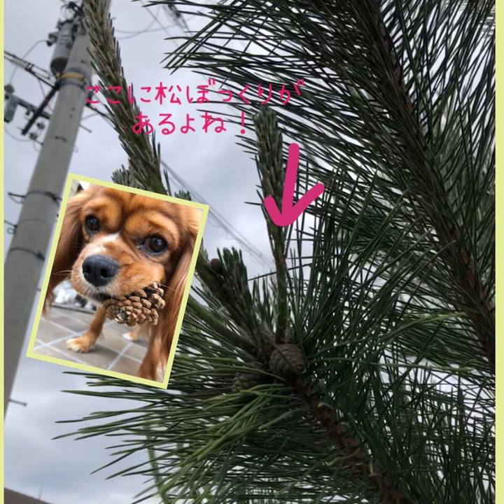 2641fac0 cb20 46bd 8407 d3607894095e 1558272523525