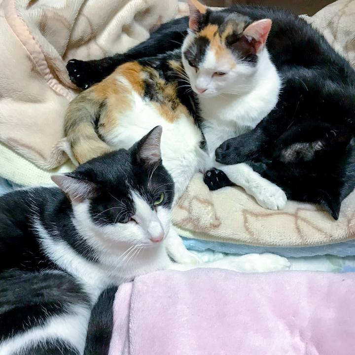 26421a6d ce57 4467 81e6 2e836bd7468d 1509594871311