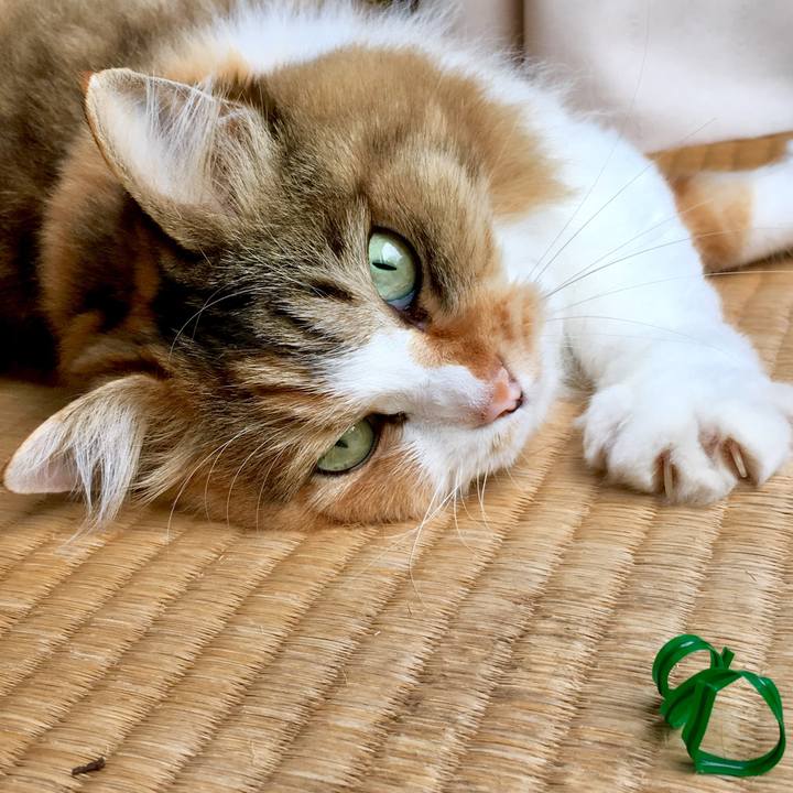 26422993 f9f4 4b14 b7df a2dbb4eaa642 1565580169490