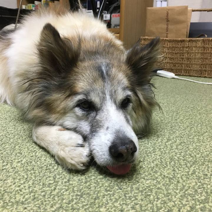 26423751 561f 4ebd af79 102c0dd85a74 1510127407069