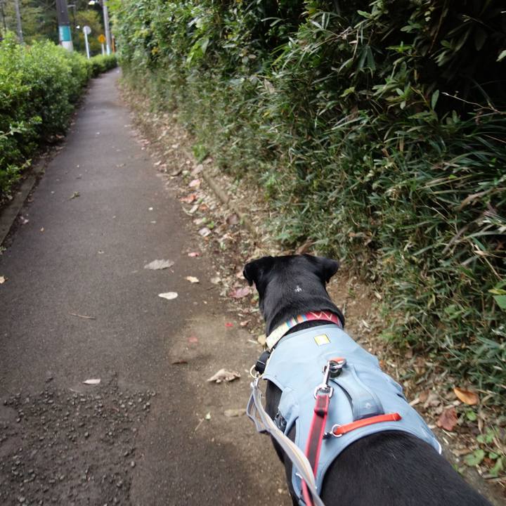 26425bf4 4d8f 46ca 8369 1efd979e082f 1731799732764