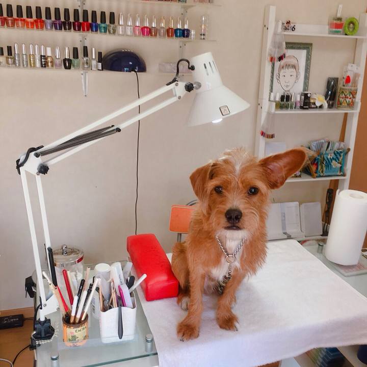 264262e6 ed97 45ee 93bb a176a9b3d7b2 1534823902975