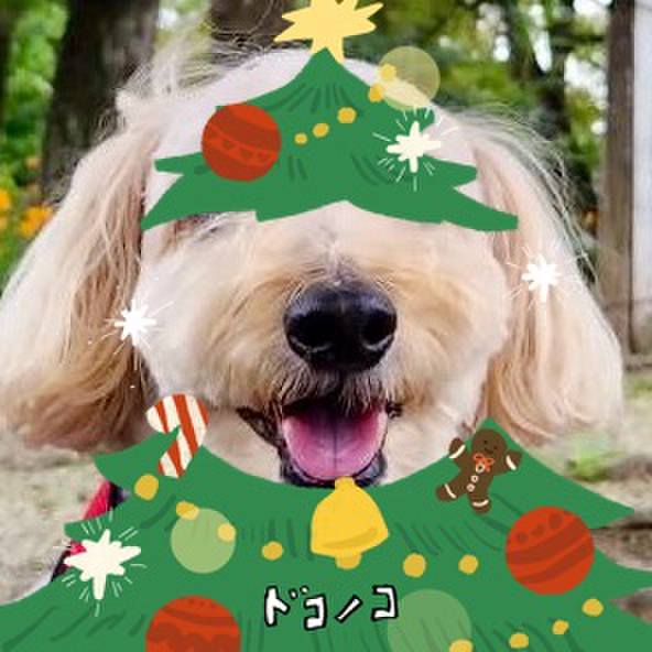 26428334 a0fc 44a2 9a8f 9afa0a4d8cb2 1761195245913