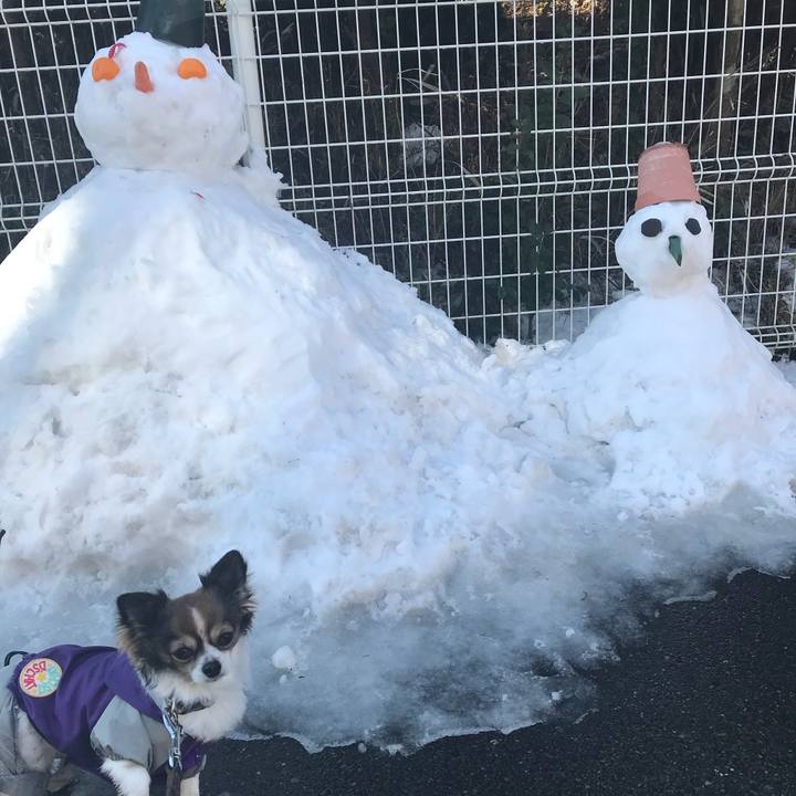 2642861e 060f 471b 8d3e 2aad48c18fcb 1516675596756