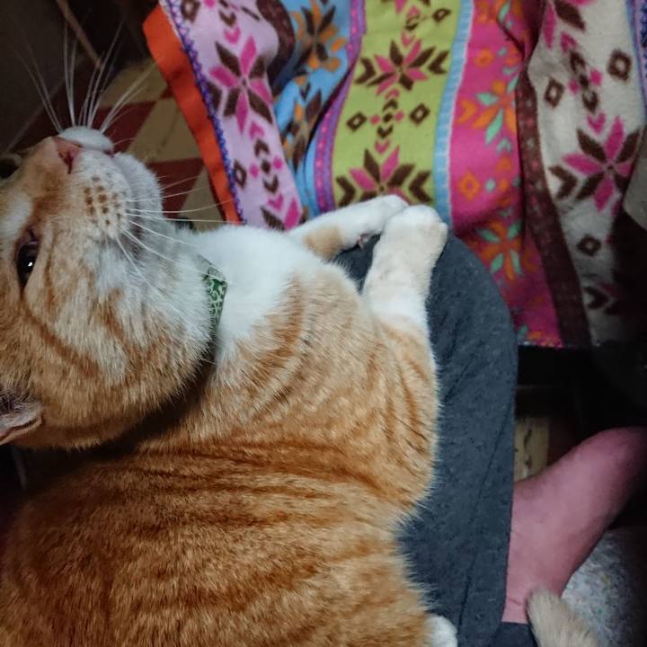 2642aeea 42be 4e59 9284 b53817ec9767 1585390087195