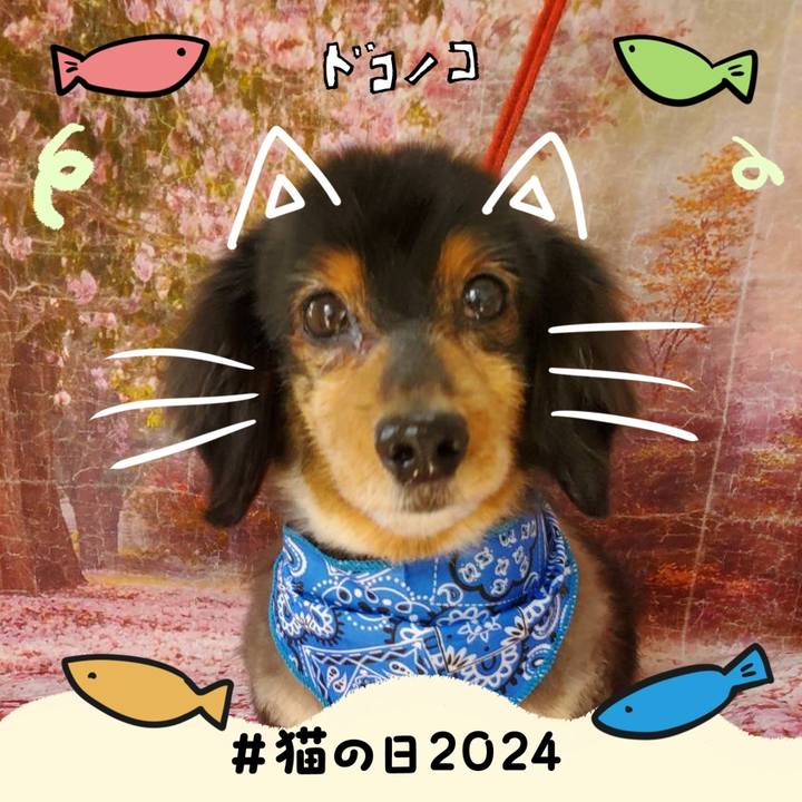 2642d368 ca40 4174 9fc2 7787f3c01e3e 1708595827253