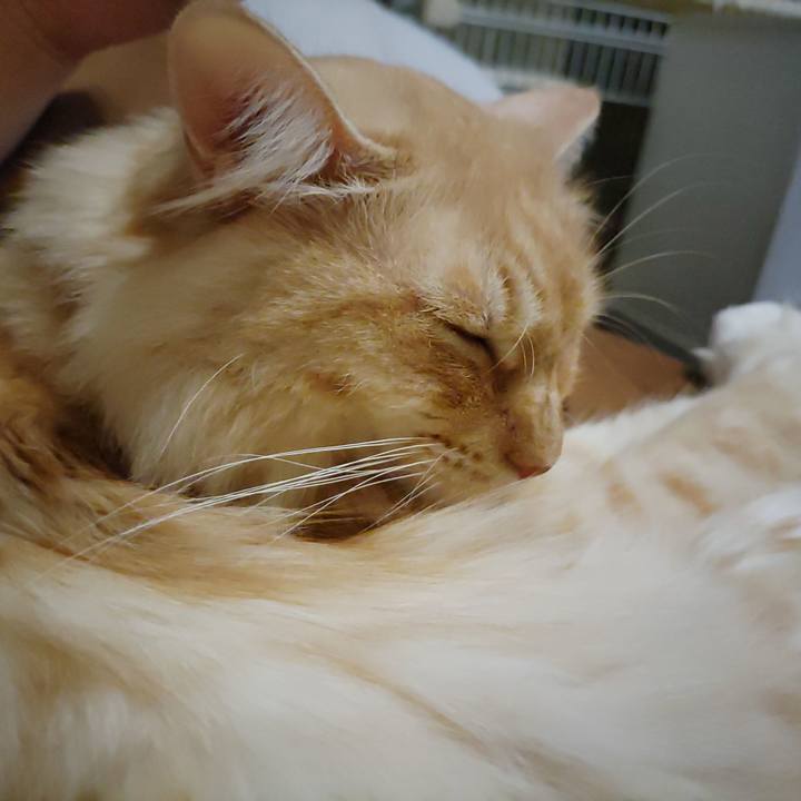 2642e523 0ed4 437b 91e7 c7f7e3e143c7 1697887337970