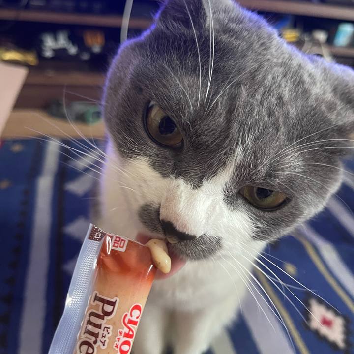 2642ed58 a018 49e8 a30d 389de8db9581 1659163152835