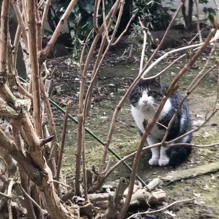 2643776b 0fb2 49b9 bdf6 ef5c01e10422 1583273545626