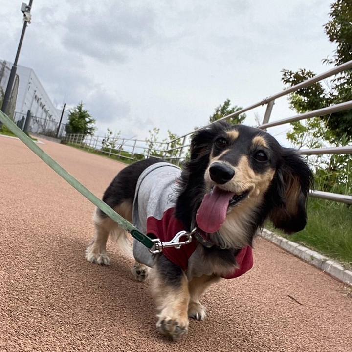 26439d36 54c5 4235 a576 fad894957508 1749880768016