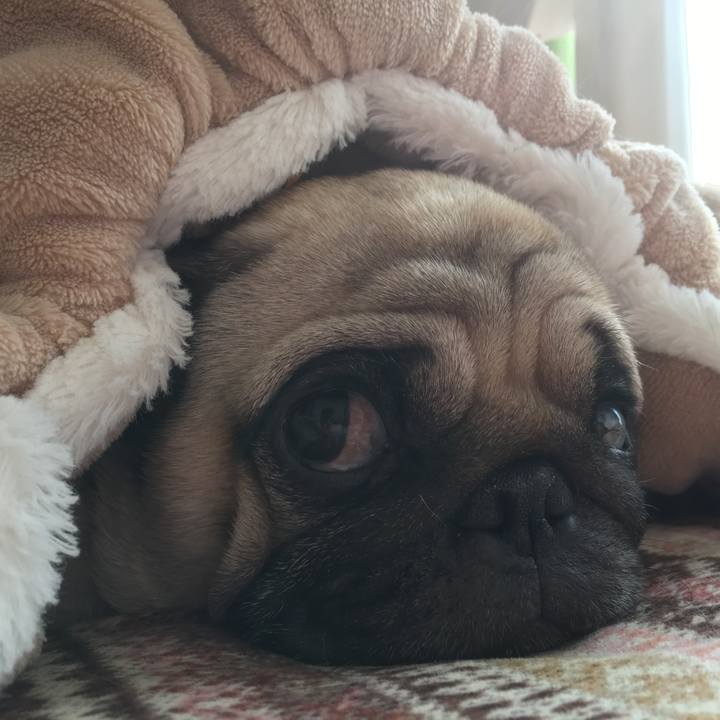 2644152b 13fb 4457 8fce 61931edc1d2b 1510565492197