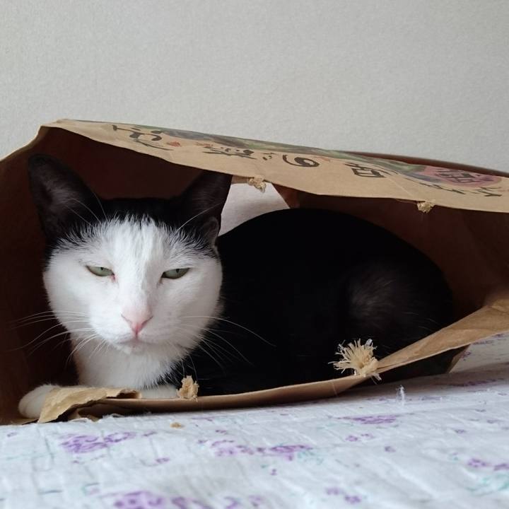 264415f7 6896 42be 8aef f5353eb05d32 1508720521057