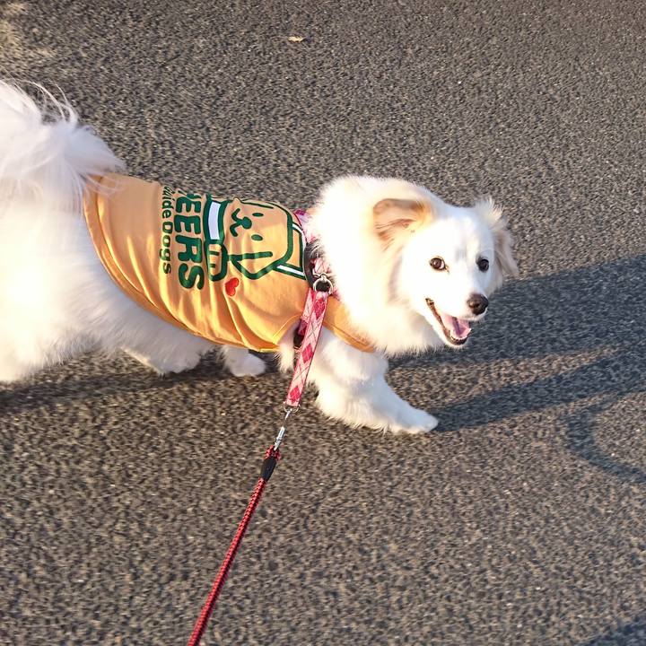 26442360 c1f2 4207 9465 63e8150de24a 1522014477633