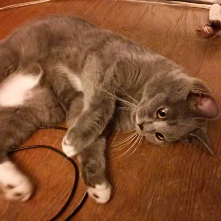 264443fa f525 4bac 8b3f 5be0608a203f 1537617314441