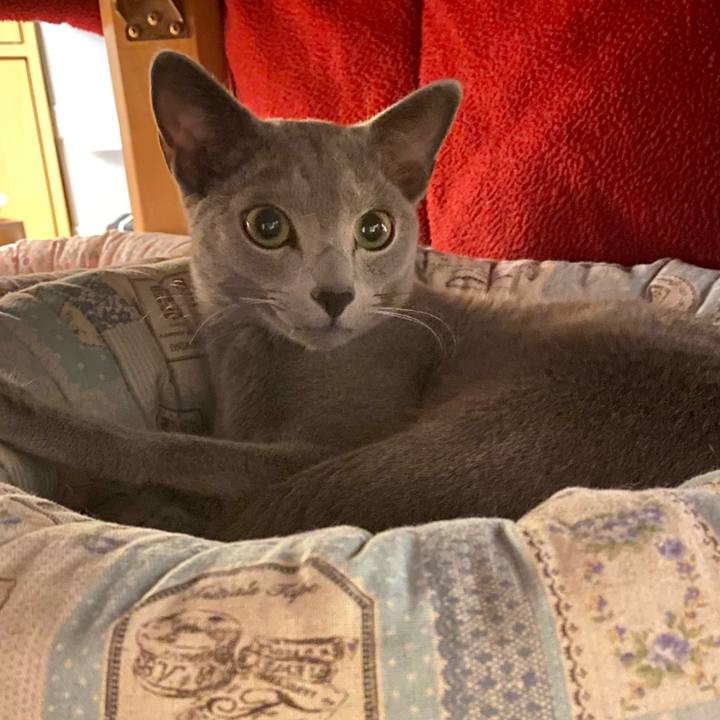 264519db 0d01 400c 9764 5b3702112193 1619866957199