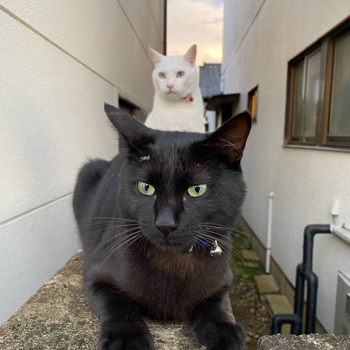 2645302b 0f4e 499c 8618 014b83563e2d 1625137393973