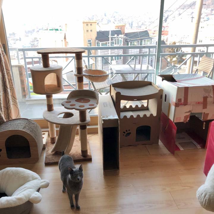 2645a164 d305 4feb bd6b 1224d4bf2160 1609125638250