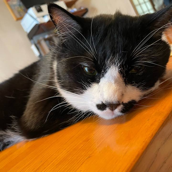 2645b5af 0044 4dcc a423 c4e42d447525 1754271814499