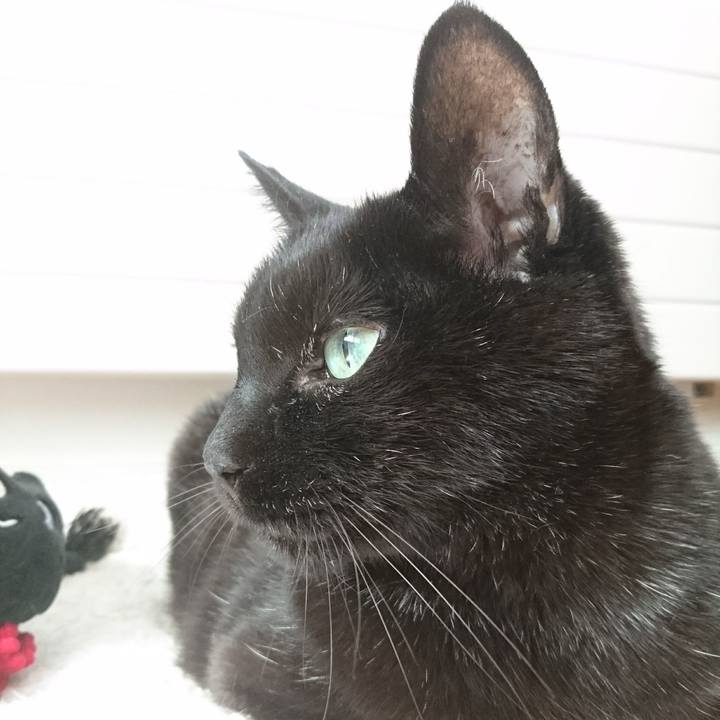 2645c076 0884 4fc4 979e 315f5267c6a3 1572839490674