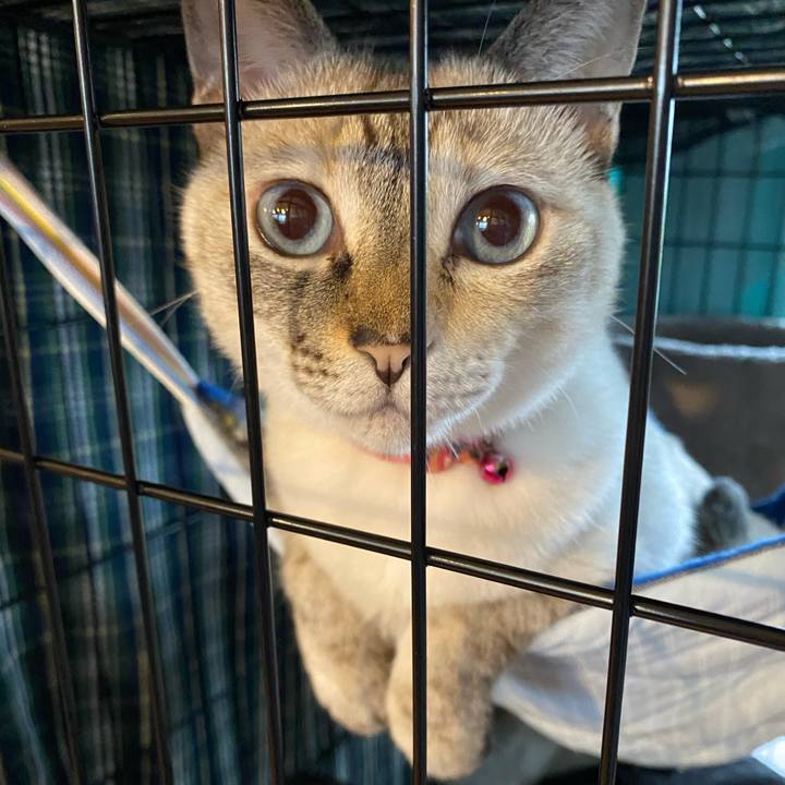 2646311f 3640 42f5 9507 1386758c52ec 1729321498617