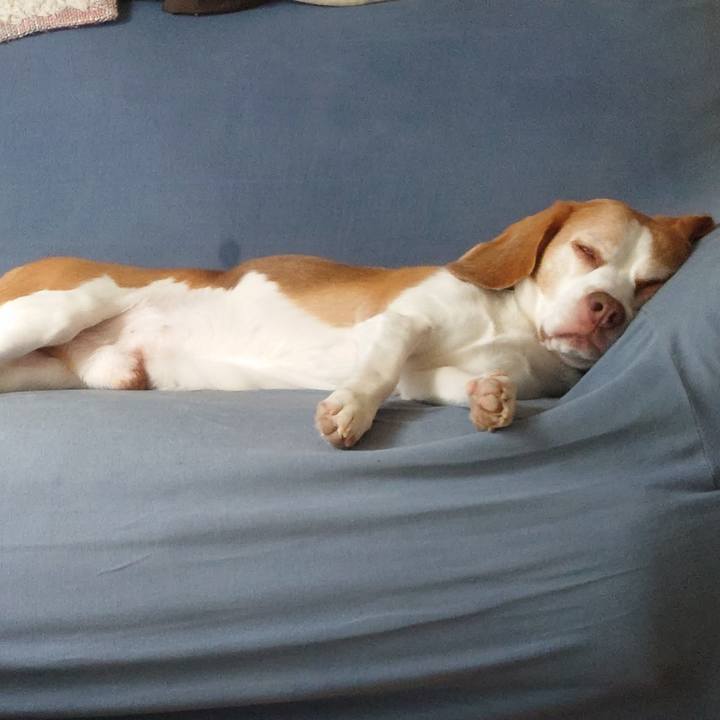 26463d8e 303b 49e5 92c7 1ae51d41c54f 1727237033711