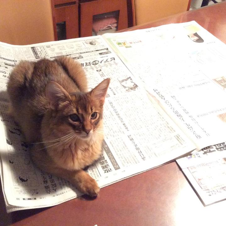 264643fe 4c32 4aa9 a5da bc91ac0d2c66 1574197789401