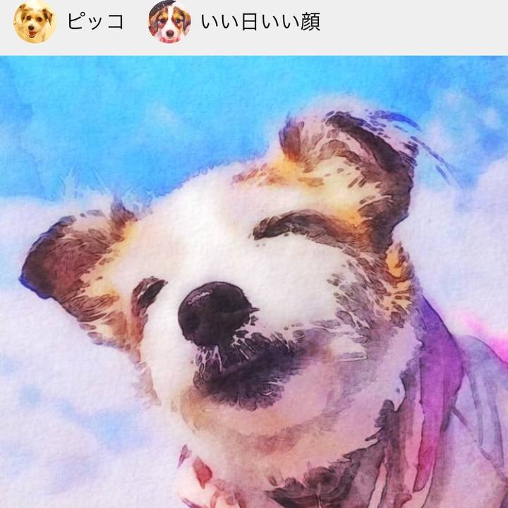 26466024 03b0 4ef1 90a4 a9e85a711232 1518045689483